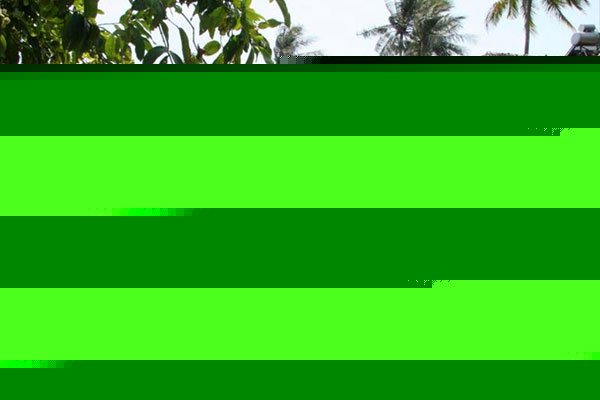 0273_14081214480021037523